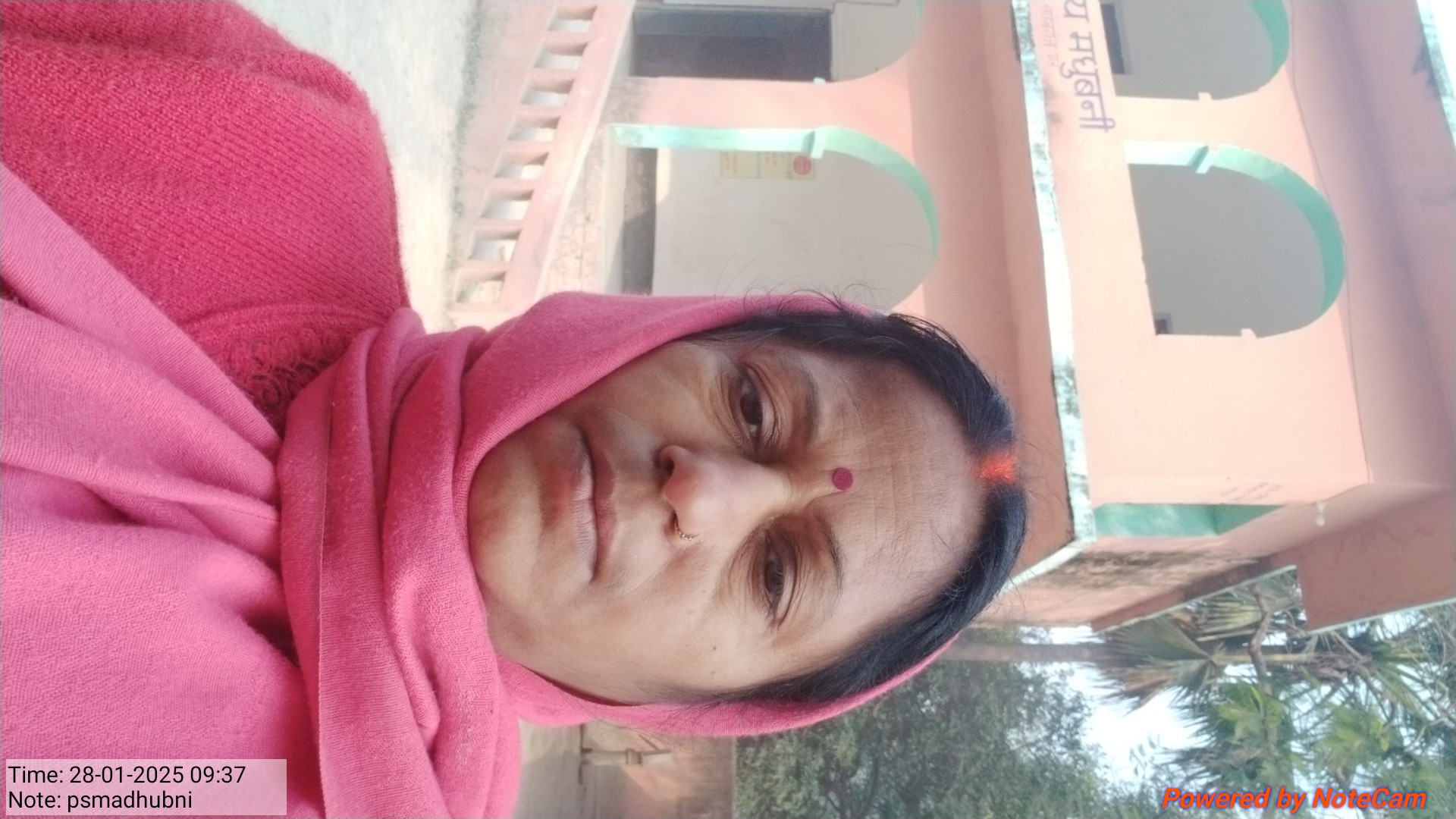 करनौल